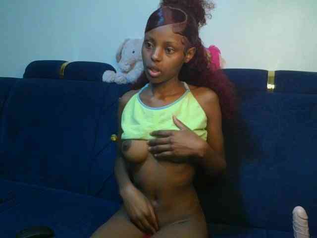 Pixellll webcam