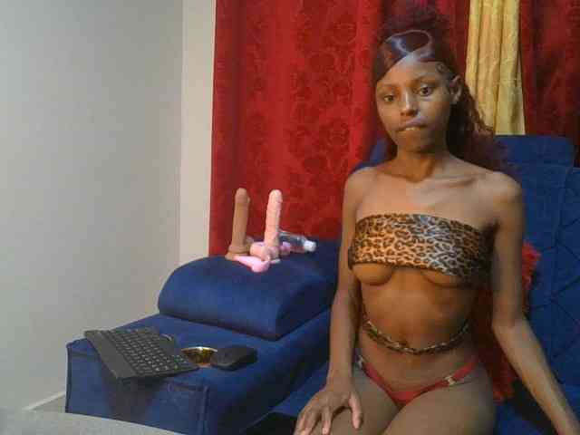 Pixellll webcam
