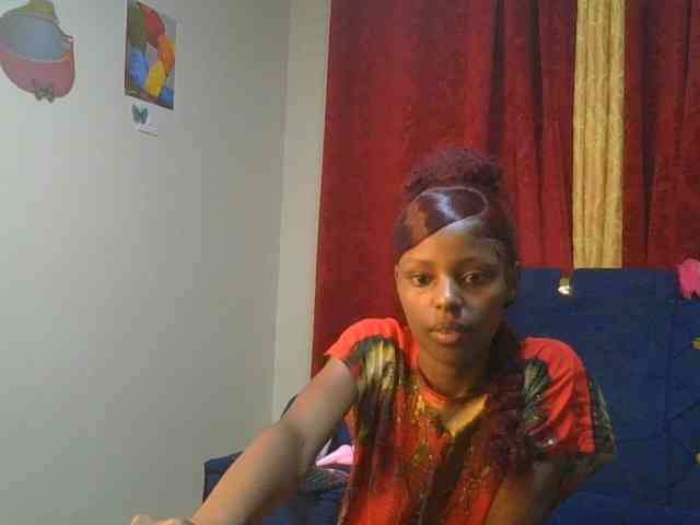 Pixellll webcam