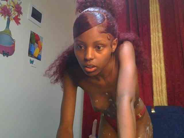 Pixellll webcam