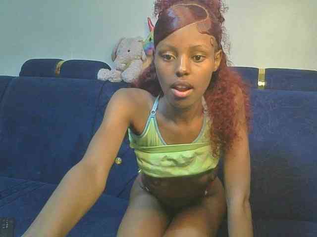 Pixellll webcam