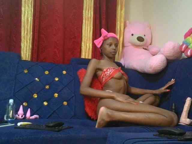 Pixellll webcam