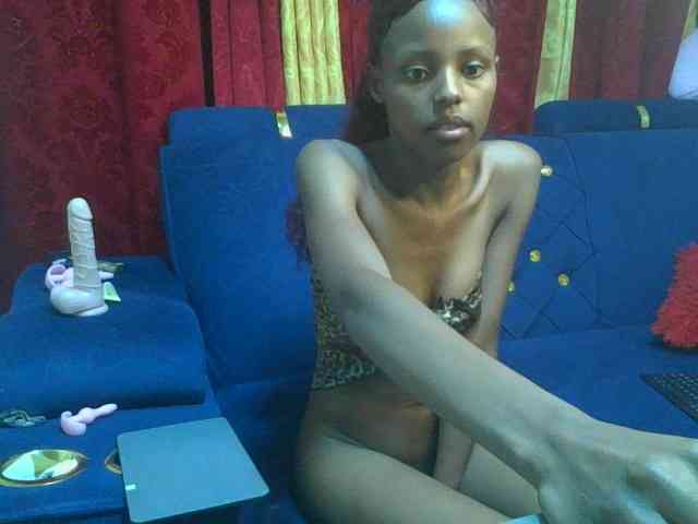Pixellll webcam