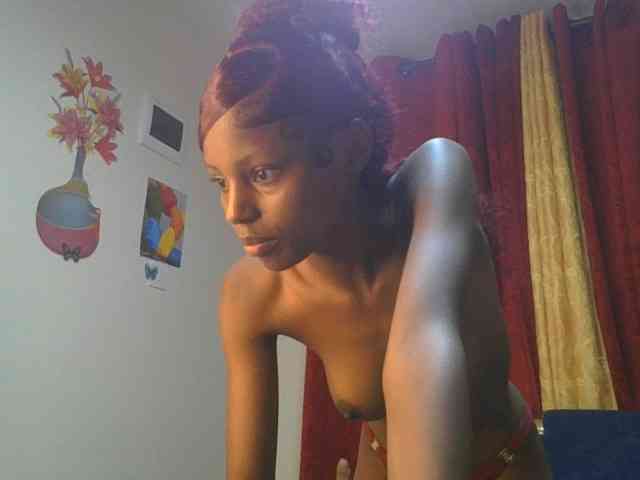 Pixellll webcam