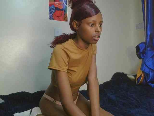 Pixellll webcam