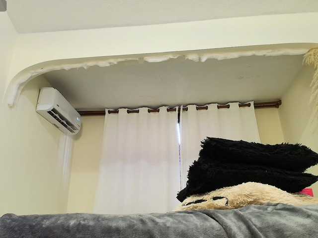 MiniLove01 live cam on BongaCams