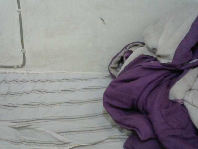 PrettyOne1 live cam on BongaCams