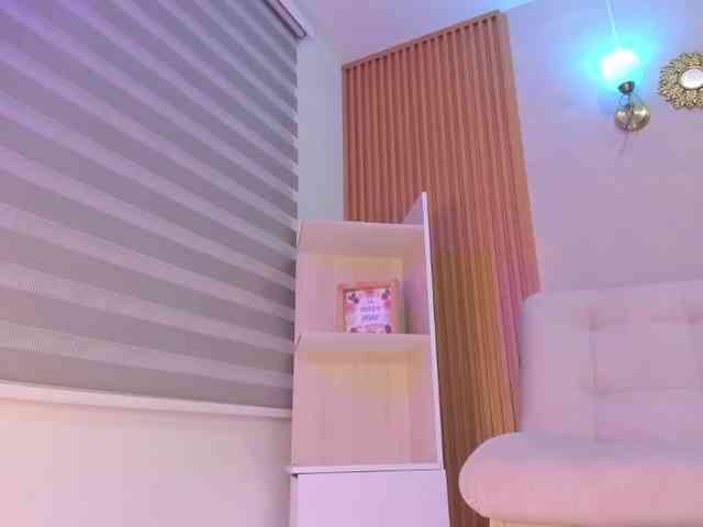 Sthecatha webcam