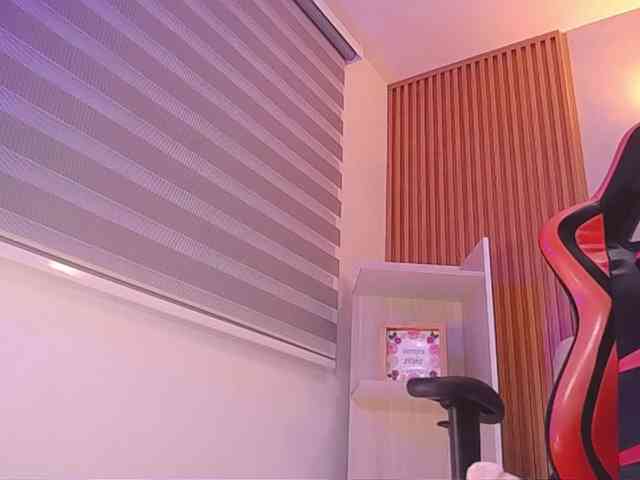 Sthecatha webcam