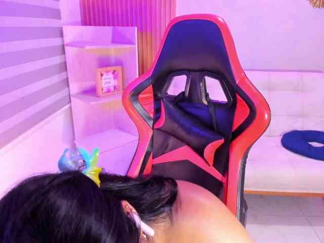Sthecatha webcam