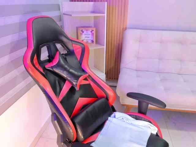 Sthecatha webcam