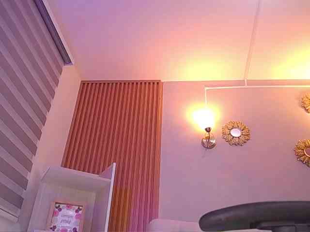 Sthecatha webcam