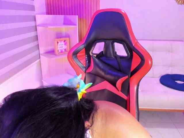 Sthecatha webcam