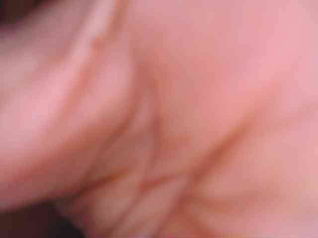 Sthecatha