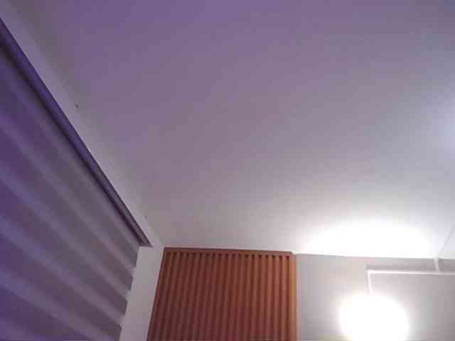Sthecatha webcam