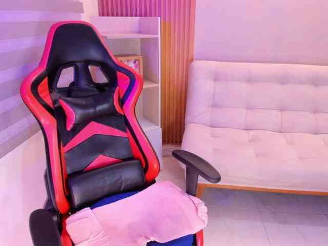 Sthecatha webcam