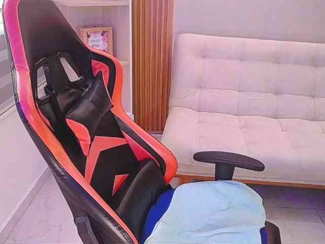 Sthecatha webcam