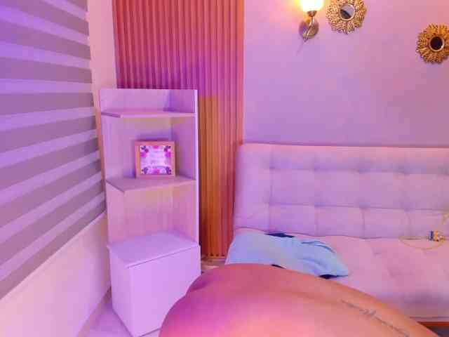Sthecatha webcam