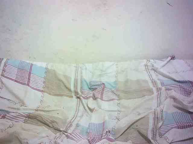 Hairy-ebony-couple webcam