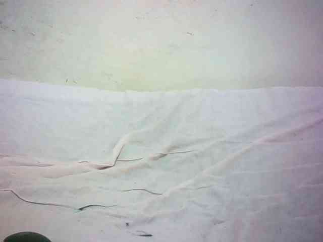 Hairy-ebony-couple webcam