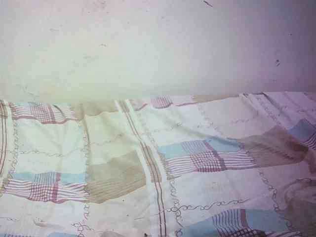 Hairy-ebony-couple webcam