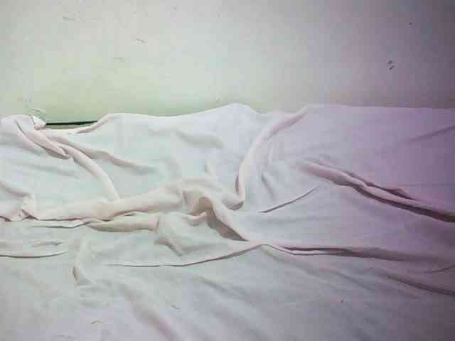 Hairy-ebony-couple webcam