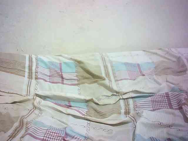 Hairy-ebony-couple webcam