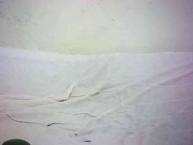 Hairy-ebony-couple webcam