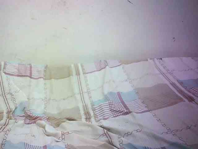 Hairy-ebony-couple webcam