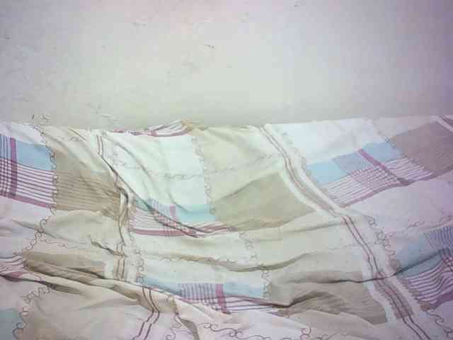 Hairy-ebony-couple webcam