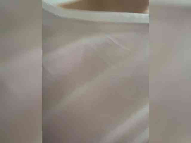 TeasyFluf webcam