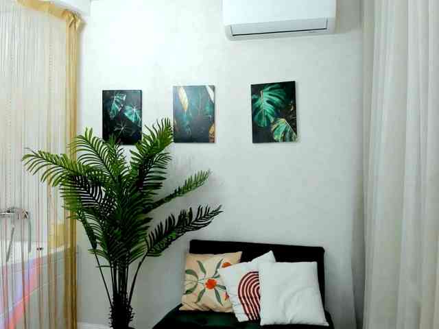 HoneyGlow webcam