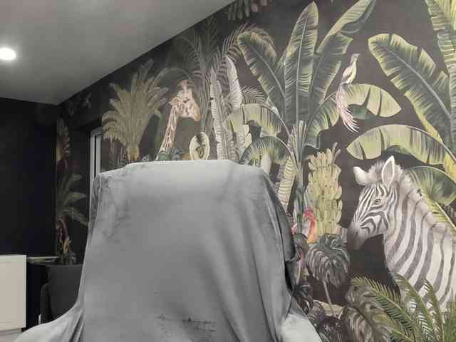 Carla88 webcam