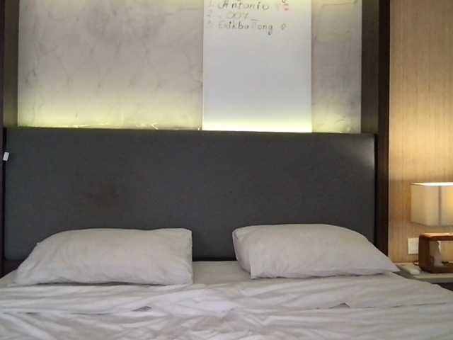 StellaMuse live cam on BongaCams
