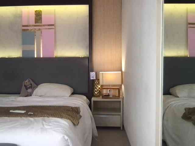 StellaMuse webcam
