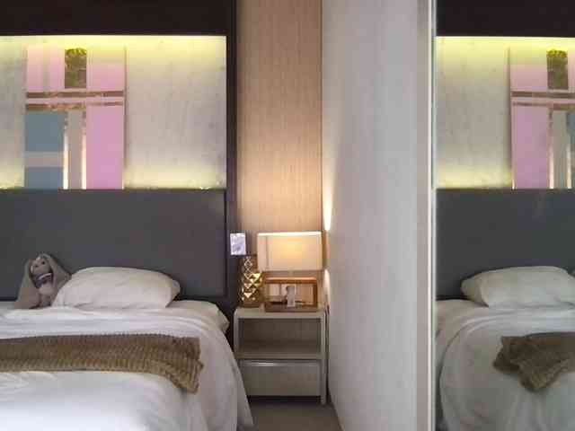 StellaMuse webcam