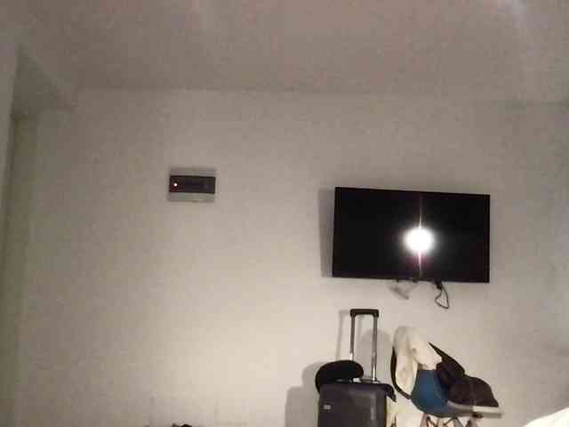 StellaMuse webcam