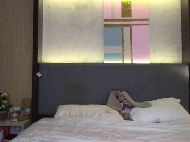 StellaMuse webcam