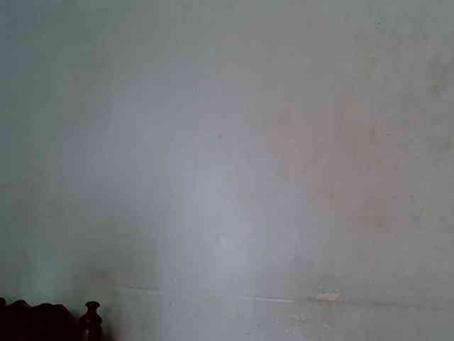 SpicyMackenzie1 webcam