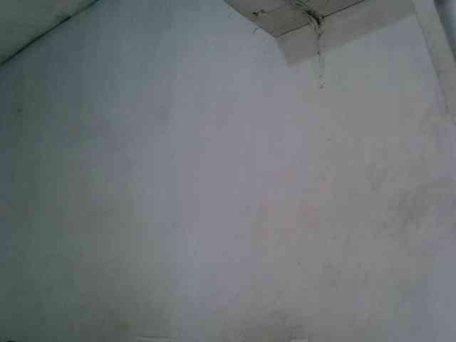 SpicyMackenzie1 webcam