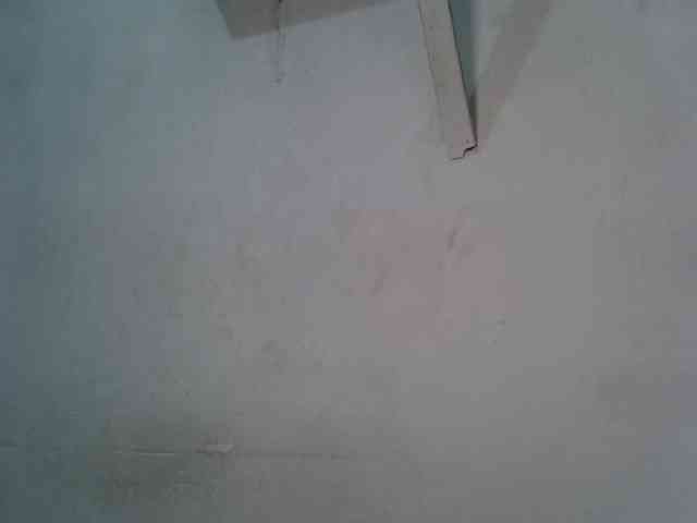 SpicyMackenzie1 webcam