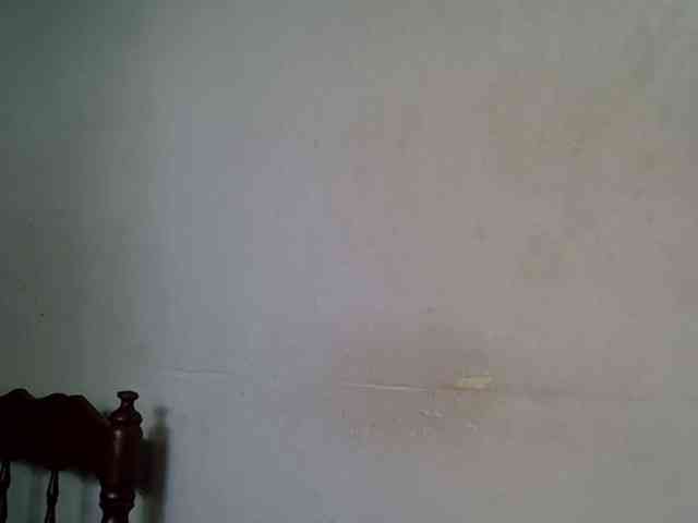 SpicyMackenzie1 webcam
