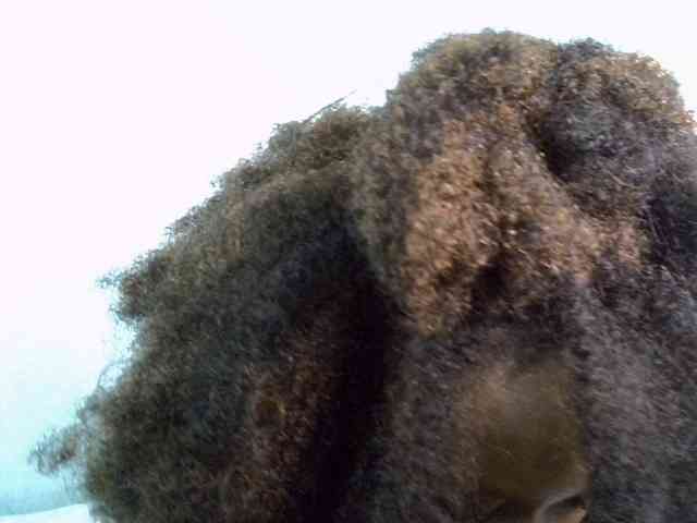 SpicyMackenzie1 webcam