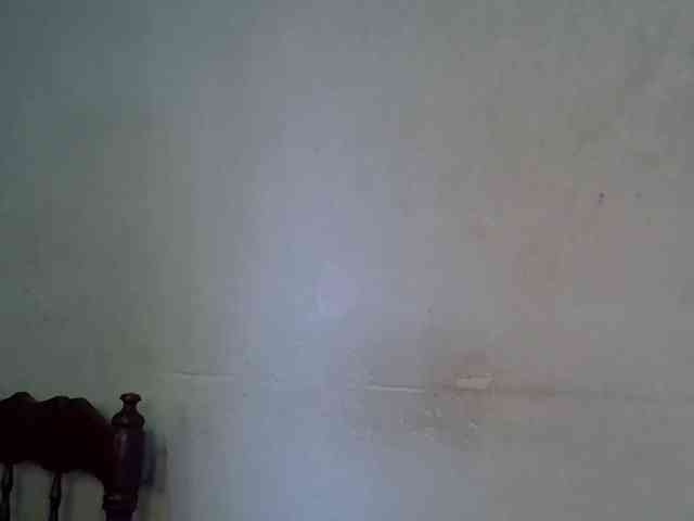 SpicyMackenzie1 webcam
