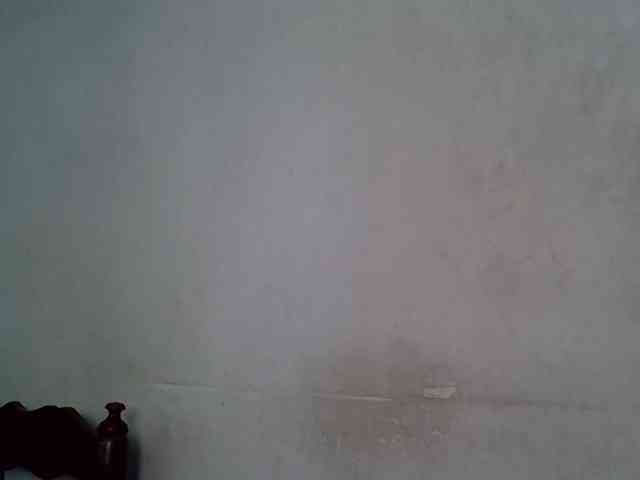 SpicyMackenzie1 webcam