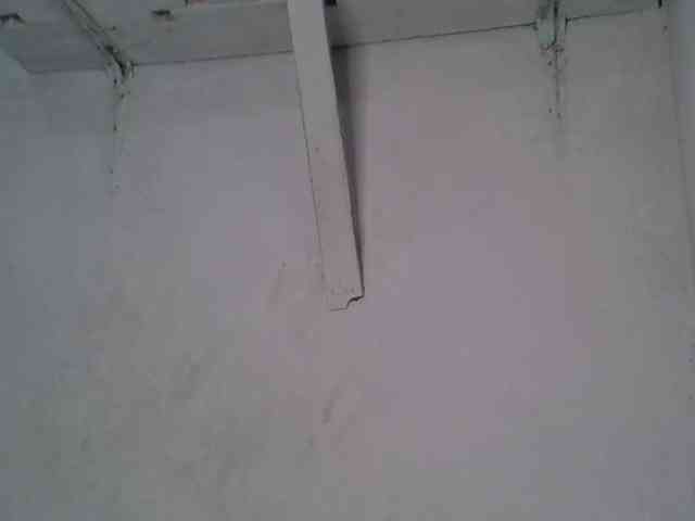 SpicyMackenzie1 webcam