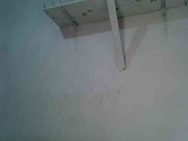 SpicyMackenzie1 webcam