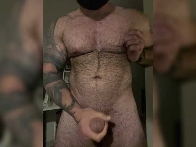 Bear-cub5