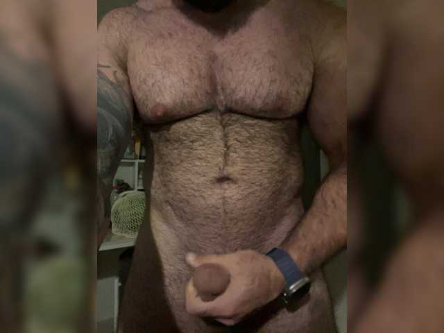 Bear-cub5