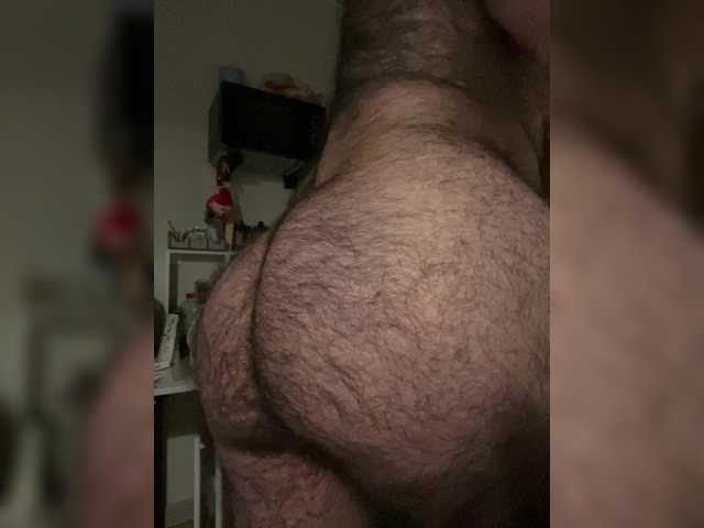Bear-cub5